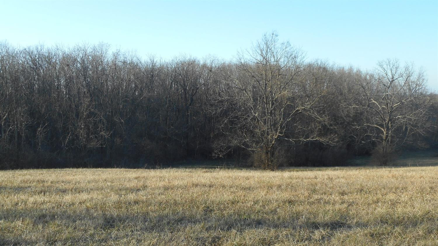 2 Waits Road Cynthiana, KY 41031 - Photo 2 of 3 Photo 2
