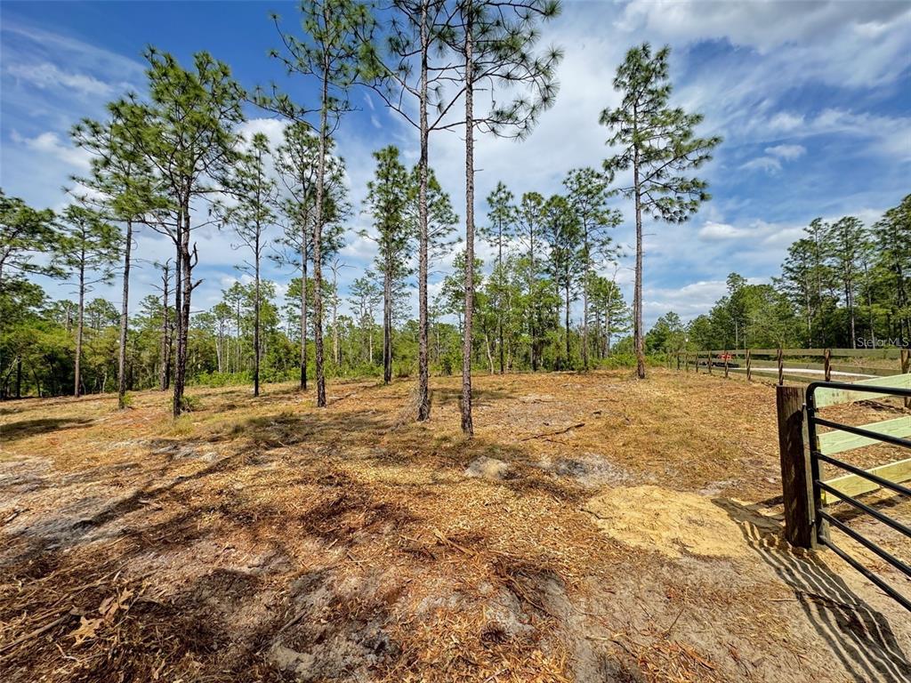 Southwest Edgewater Boulevard Dunnellon, FL 34431 - Photo 7 of 9