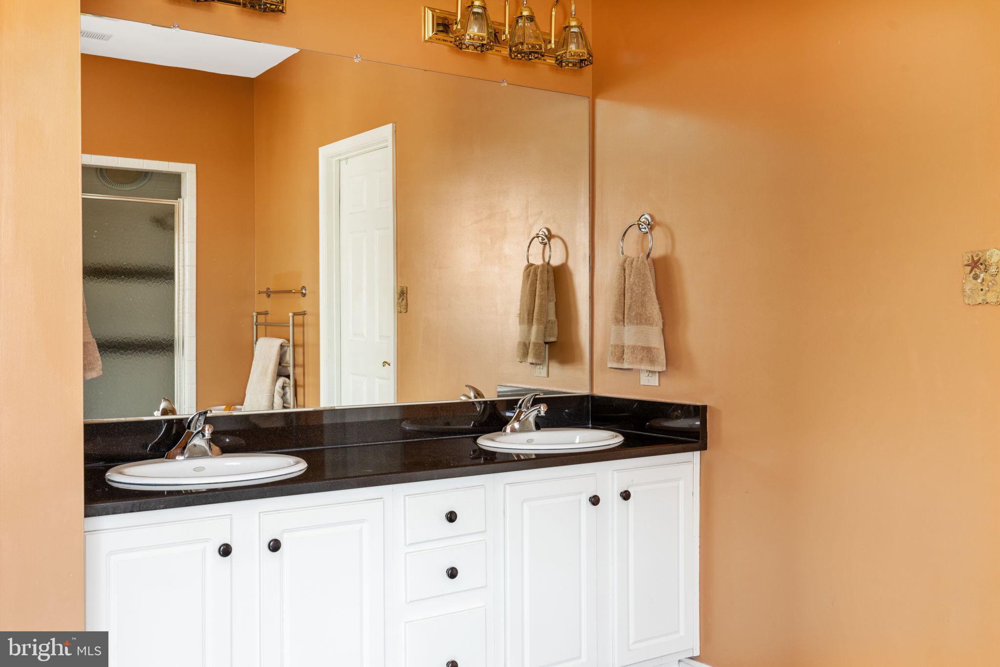 281 Huntersridge Road Winchester, VA 22602 - Photo 26 of 50 Master bath sinks