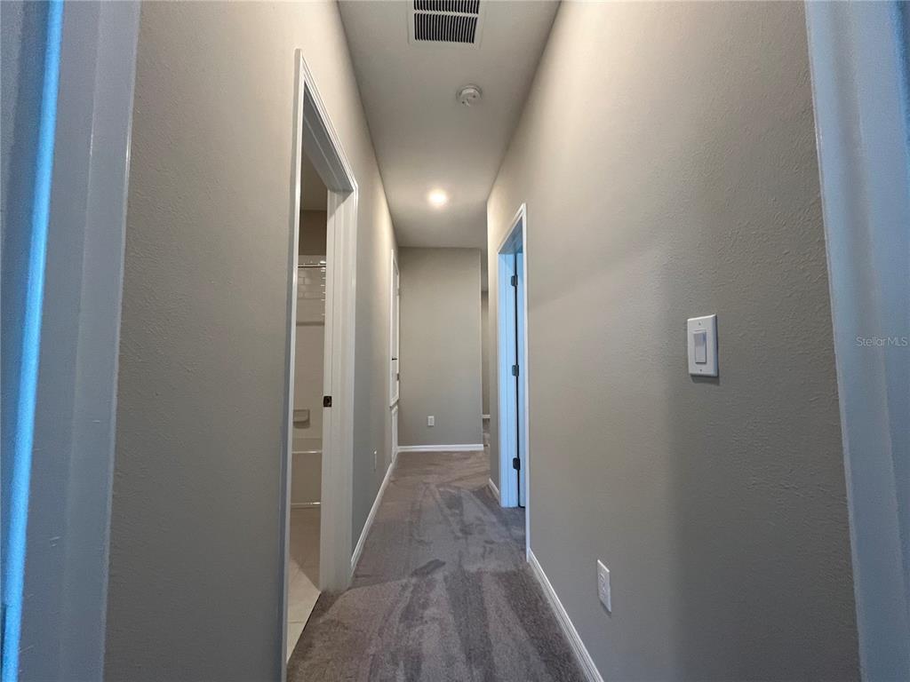 31864 Blue Passing Loop Wesley Chapel, FL 33545 - Photo 13 of 28