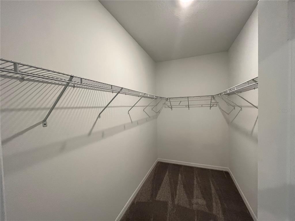 31864 Blue Passing Loop Wesley Chapel, FL 33545 - Photo 18 of 28