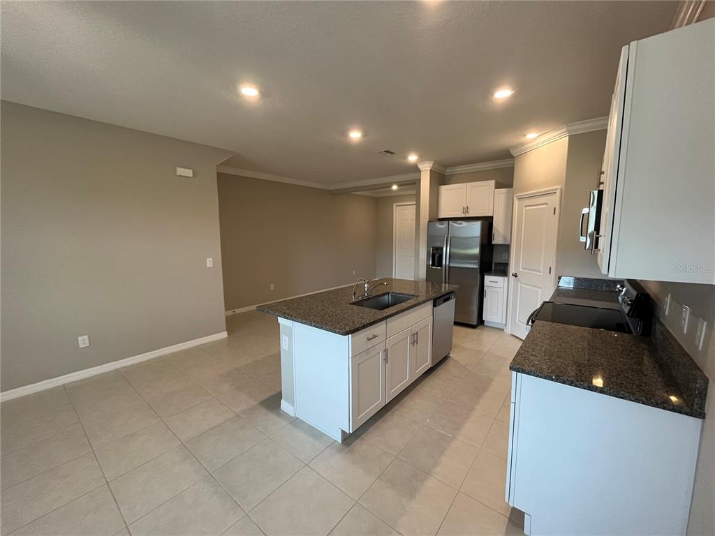 31864 Blue Passing Loop Wesley Chapel, FL 33545 - Photo 5 of 28