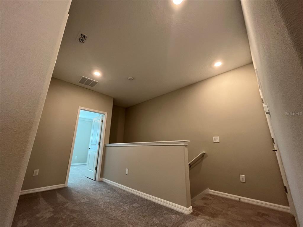 31864 Blue Passing Loop Wesley Chapel, FL 33545 - Photo 10 of 28