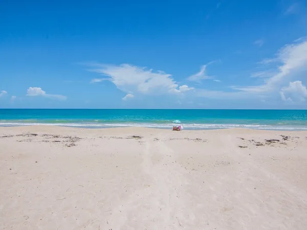 $3,500 | 3555 Ocean Drive, Unit 203, Vero Beach, FL 32963