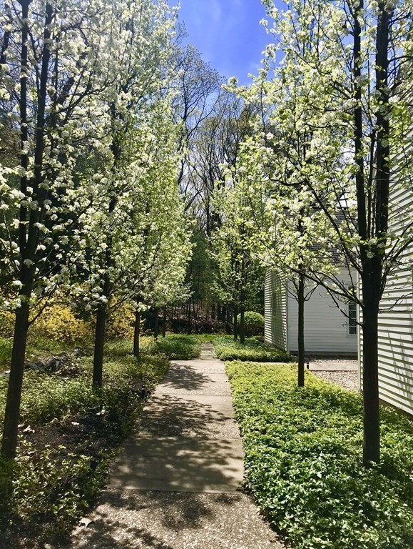 44 Spruce Hill Road Weston, MA 02493 - Photo 4 of 26 Gallery Image 4