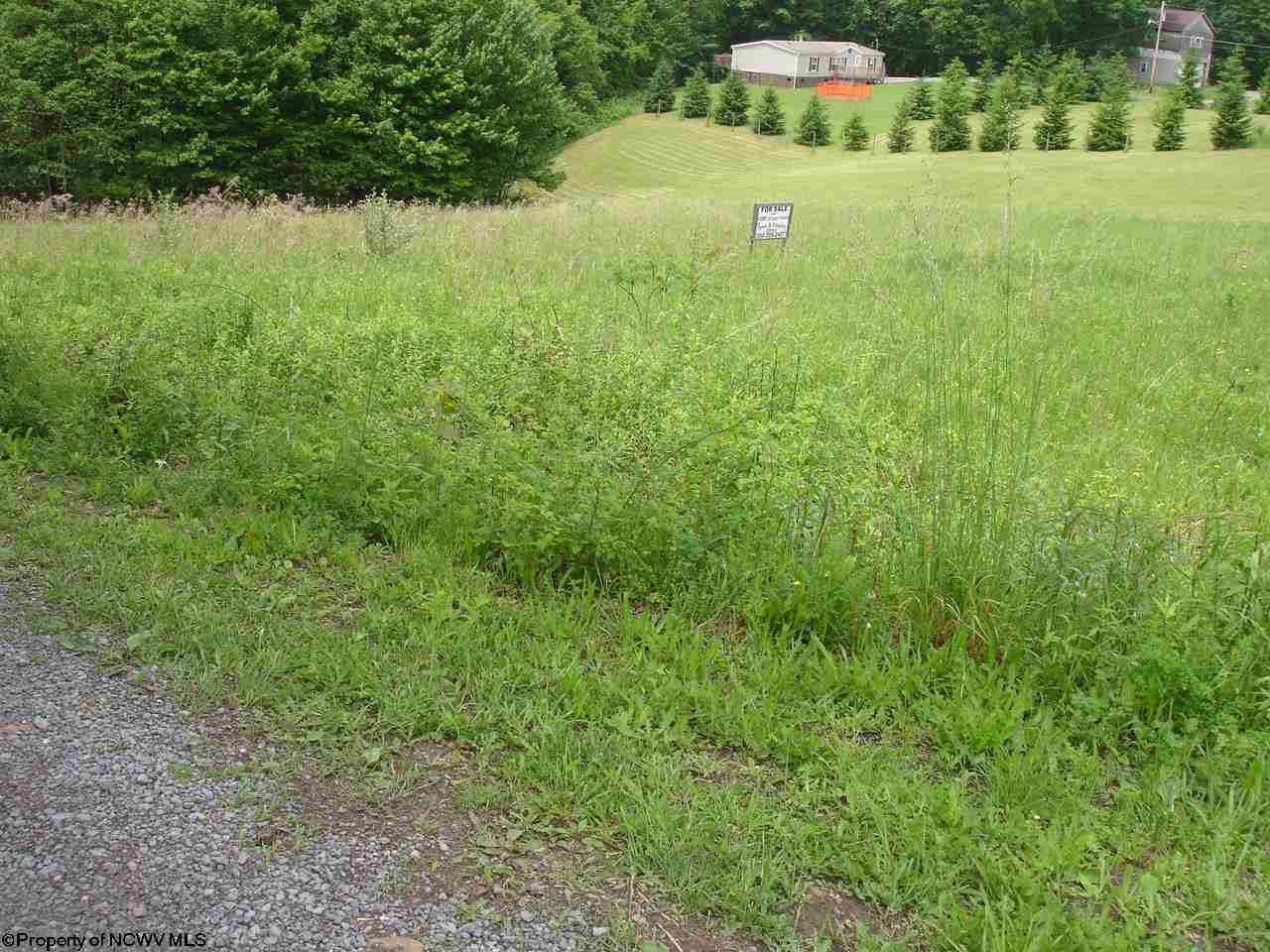 Lot 10 Rt 19 Rohr Road Masontown, WV 26542 - Photo 4 of 5 Gallery Image 4