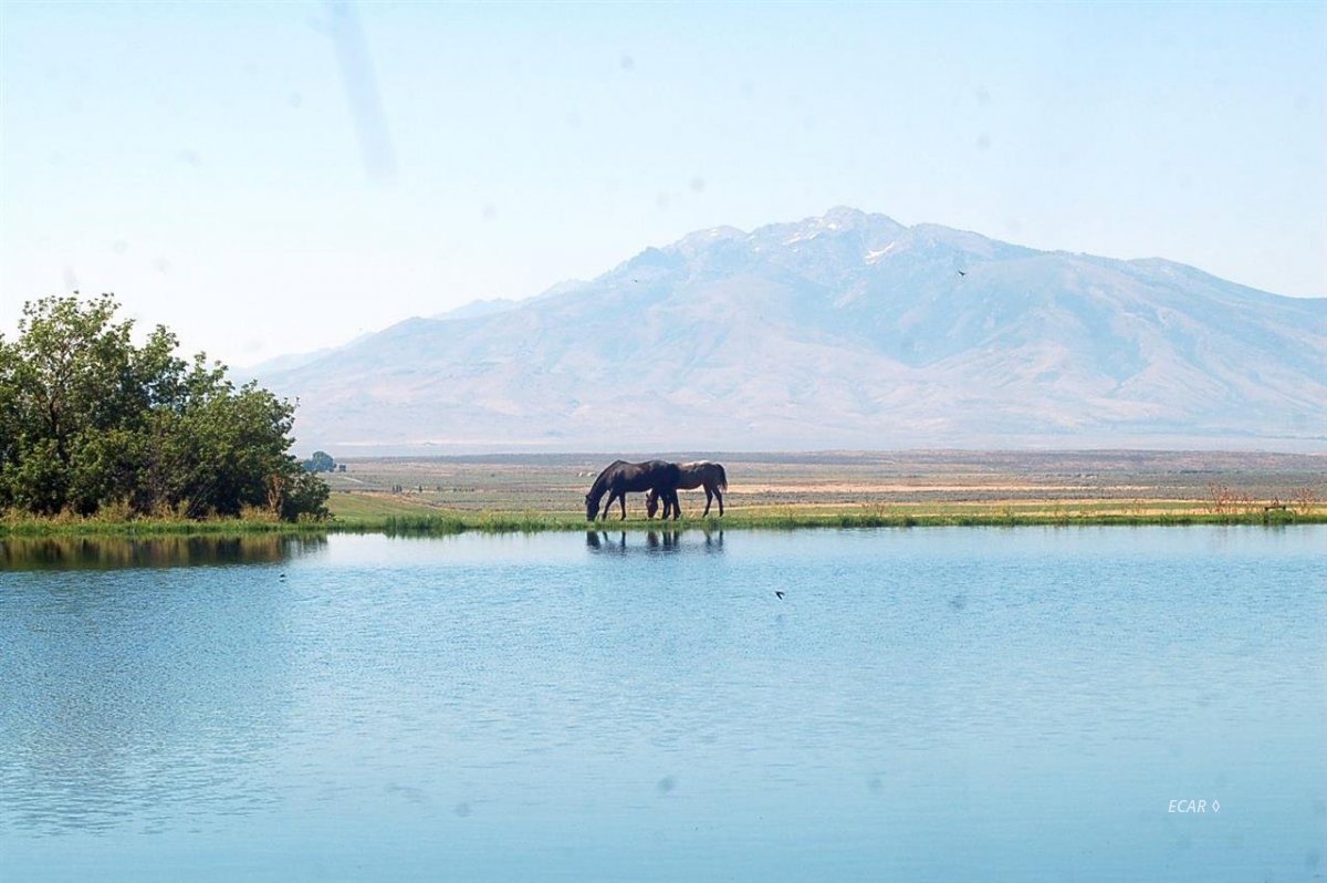 1233 Upper Metropolis Road Wells, NV 89835 - Photo 4 of 9