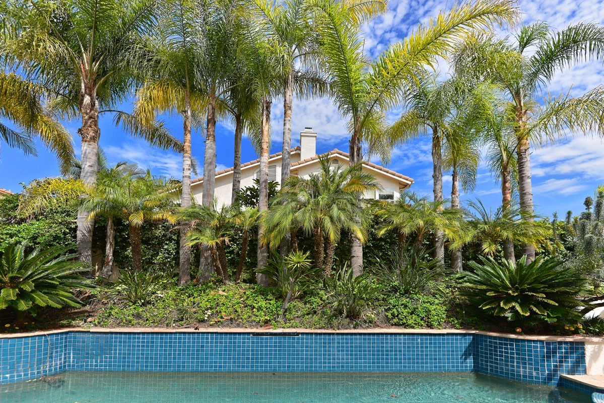 4998 Riding Ridge Road San Diego, CA 92130 - Photo 4 of 25 Solar heated pool for year round enjoyment