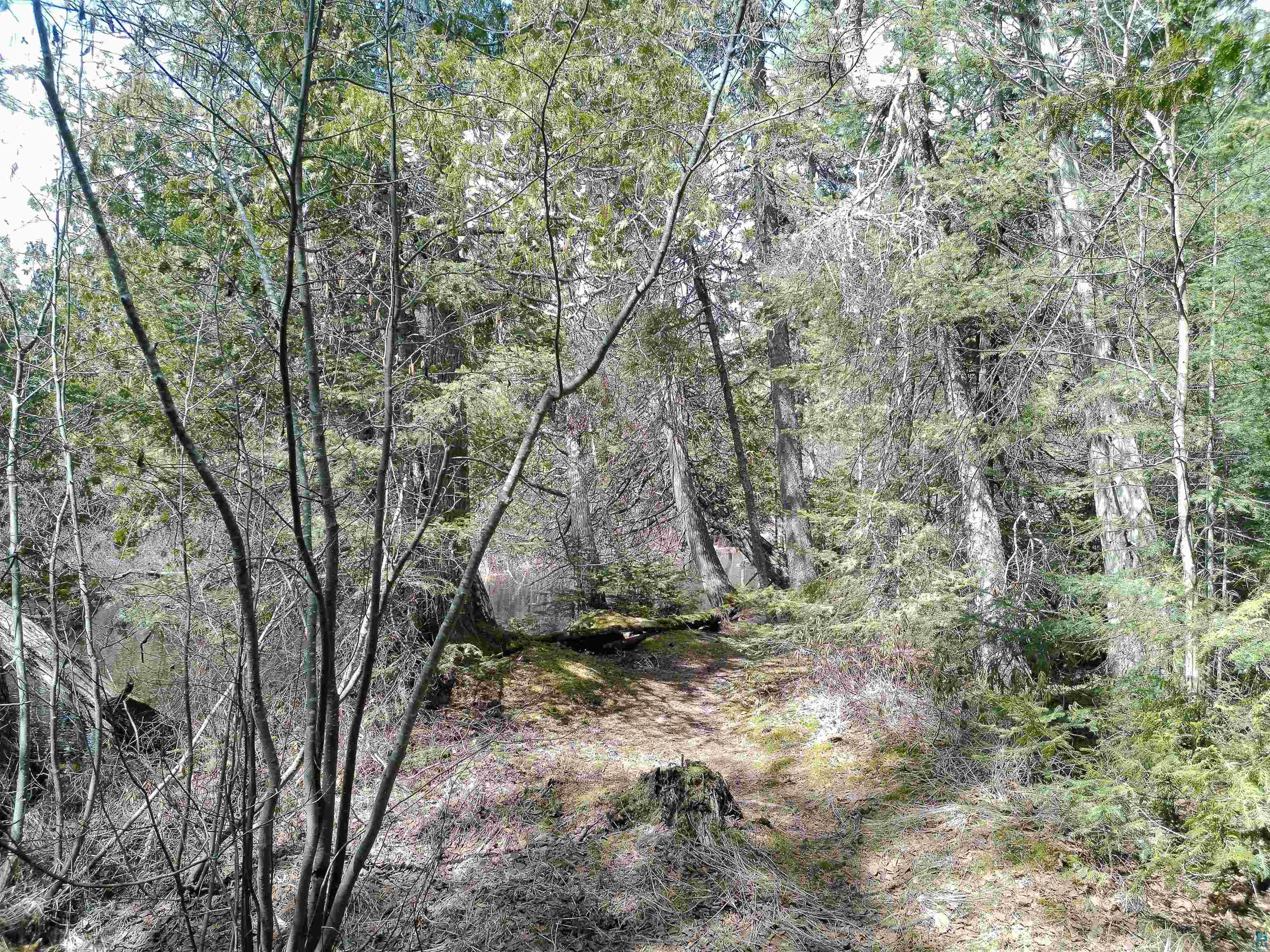 261 Caps Trail Lutsen, MN 55612 - Photo 51 of 72