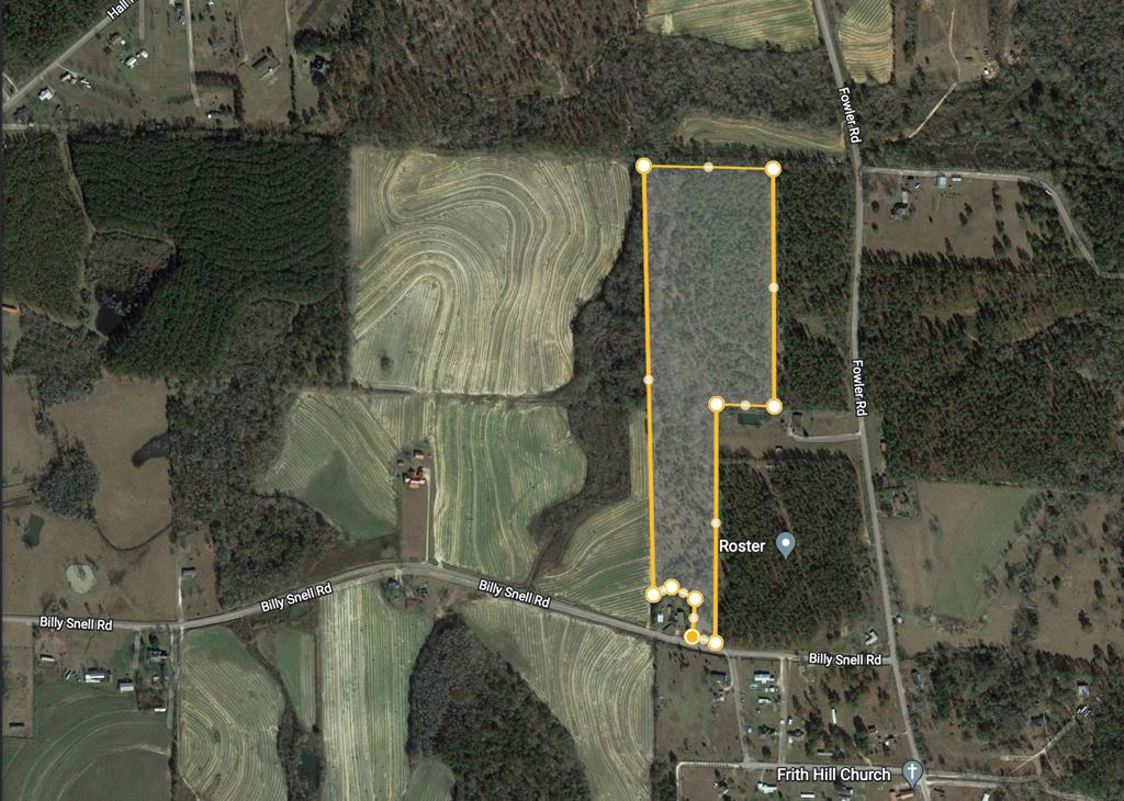 0 Billy Snell Road Dothan, AL 36301 - Photo 1 of 1
