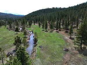 a view of a park with large trees