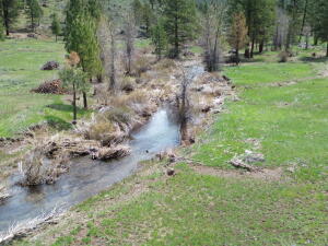0 Roney Flat Road Adin, CA 96006 - Photo 13 of 15 a backyard of a house with lots of green space