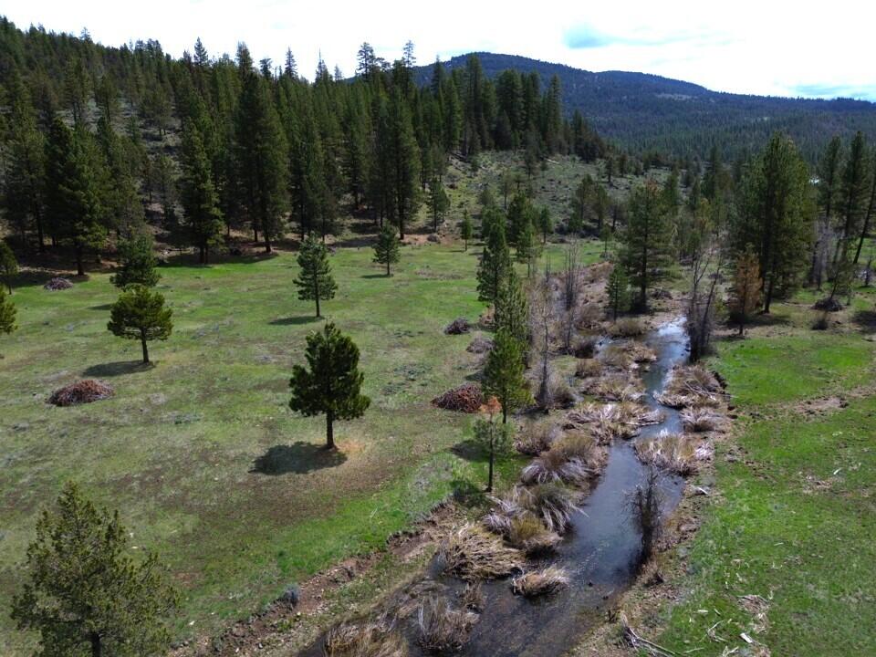 0 Roney Flat Road Adin, CA 96006 - Photo 14 of 15 a view of a park with large trees