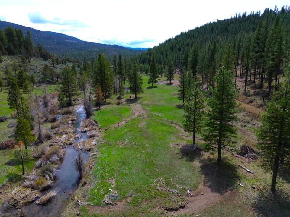 0 Roney Flat Road Adin, CA 96006 - Photo 5 of 15 a view of a back yard