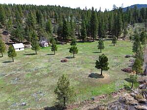 0 Roney Flat Road Adin, CA 96006 - Photo 10 of 15 a view of a park with large trees
