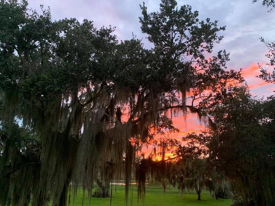 0 Mayer Drive Slidell, LA 70460 - Photo 4 of 8