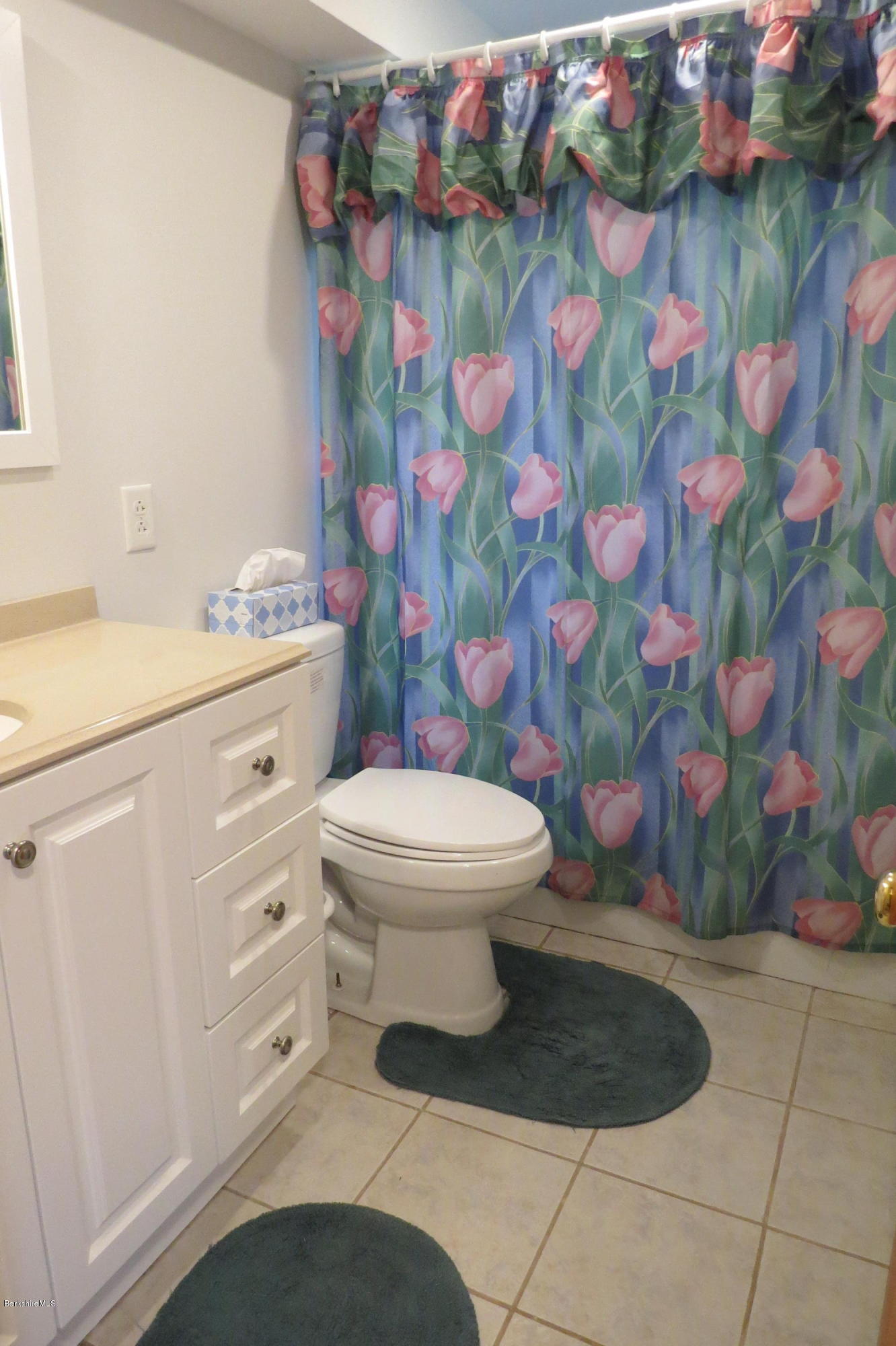 279 Heartwellville View Road Readsboro, VT 05350 - Photo 33 of 42 a bathroom with a toilet and a sink