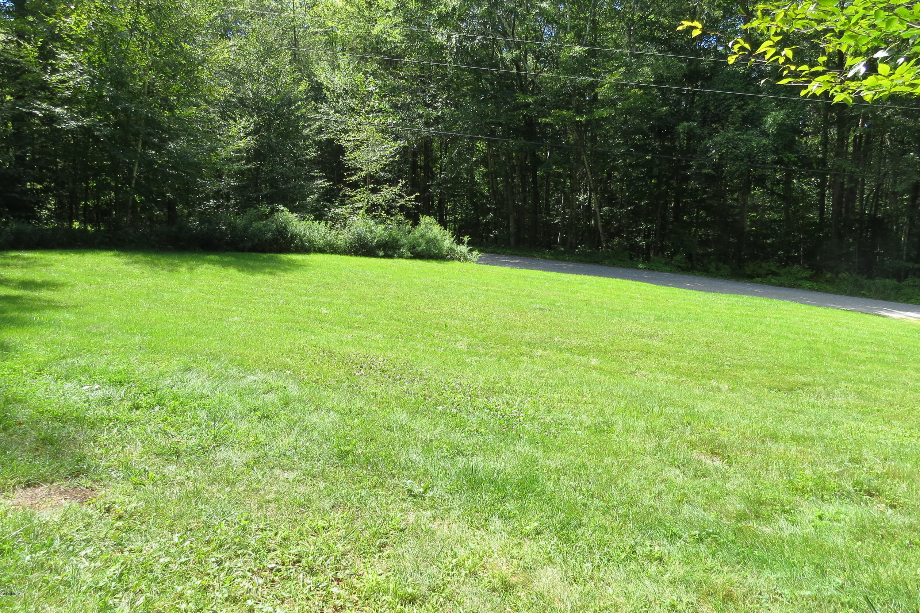 279 Heartwellville View Road Readsboro, VT 05350 - Photo 34 of 42 a view of a yard with a trees