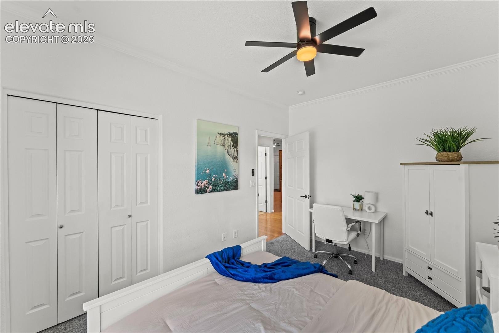 106 Joshua Road Divide, CO 80814 - Photo 23 of 40 Gallery Image 23