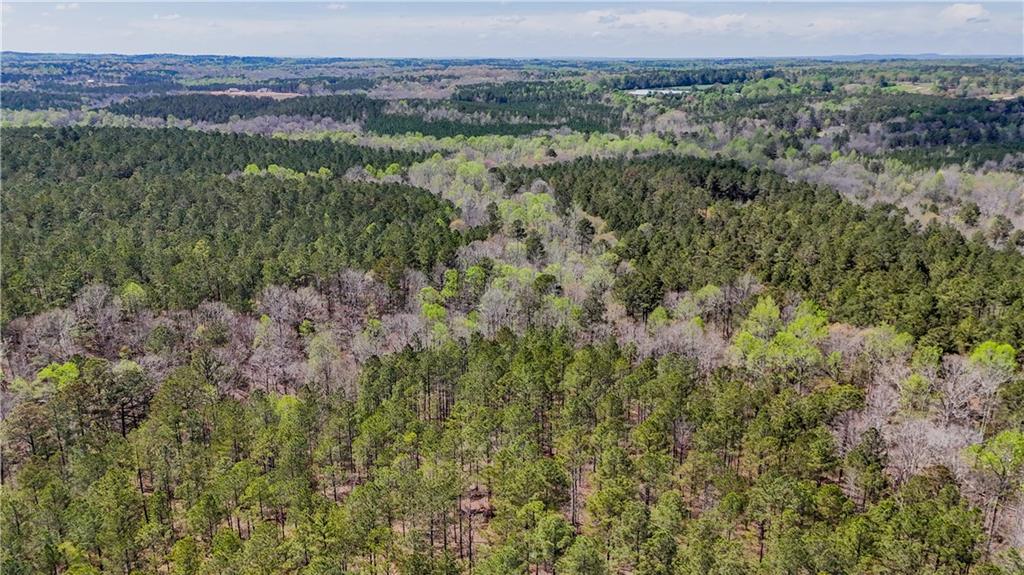 0 Cross Plains Hulett Road Carrollton, GA 30116 - Photo 11 of 11