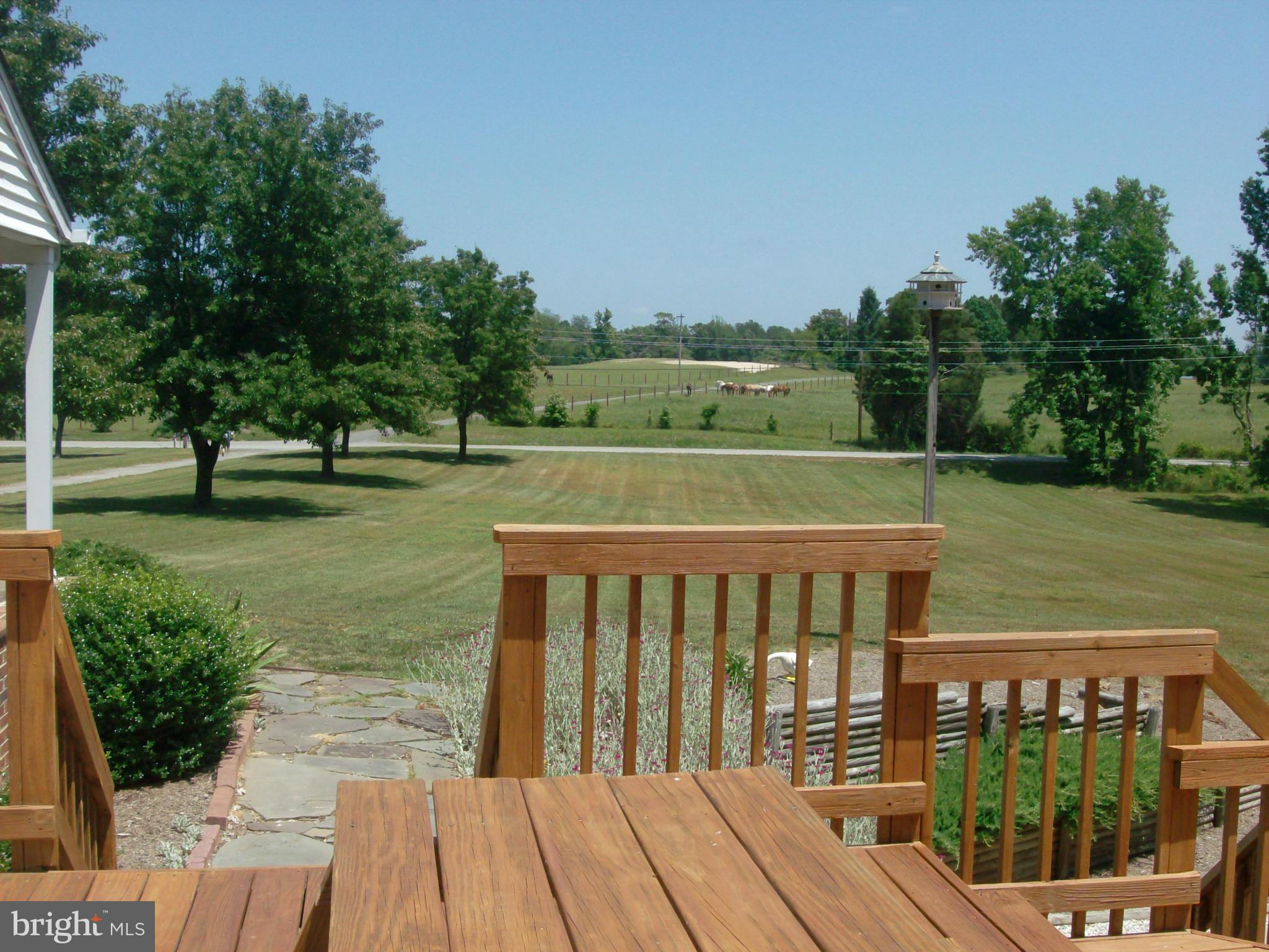 9425 Mackall Road St. Leonard, MD 20685 - Photo 22 of 26 Front view from deck