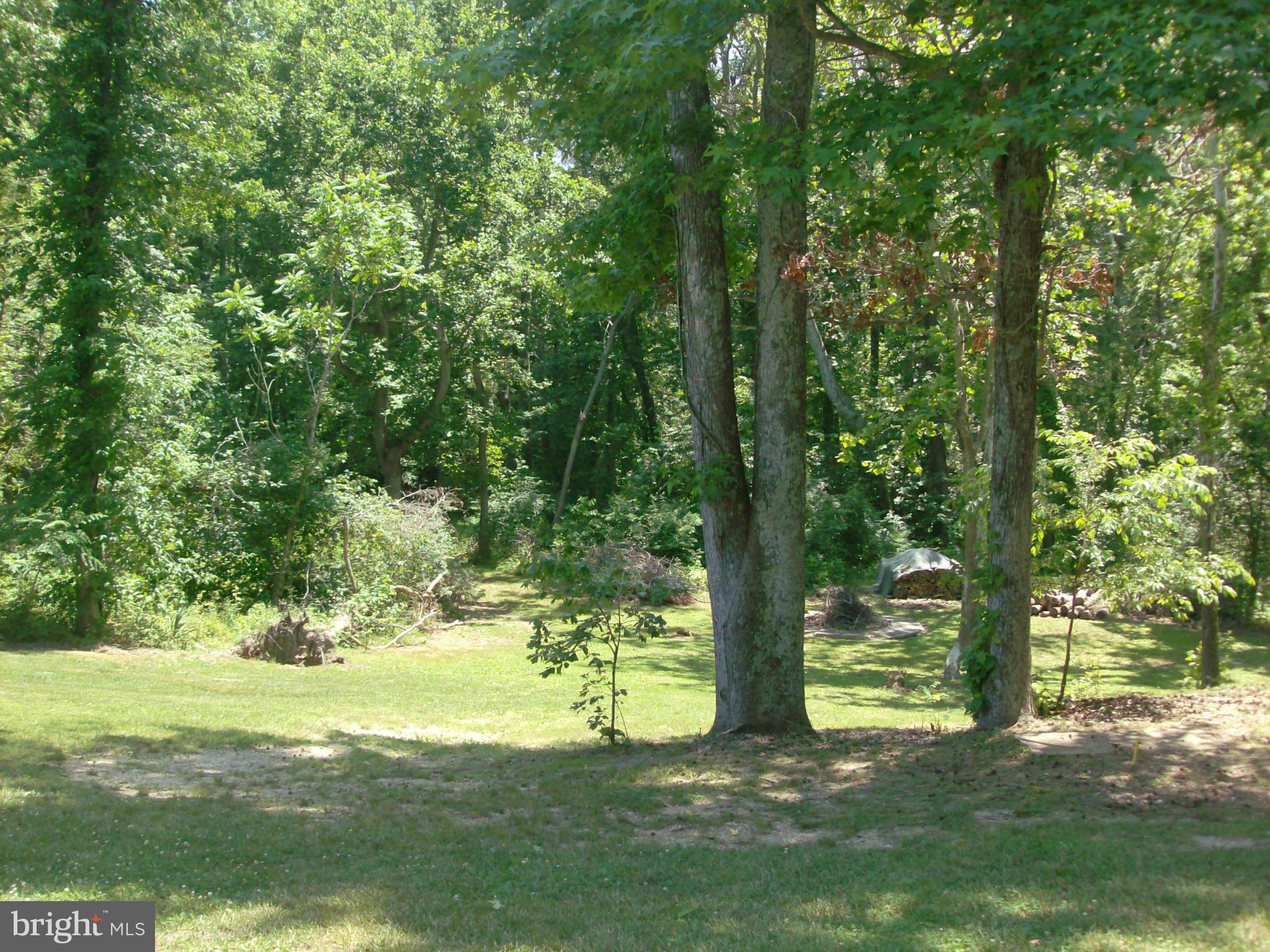 9425 Mackall Road St. Leonard, MD 20685 - Photo 24 of 26 side yard