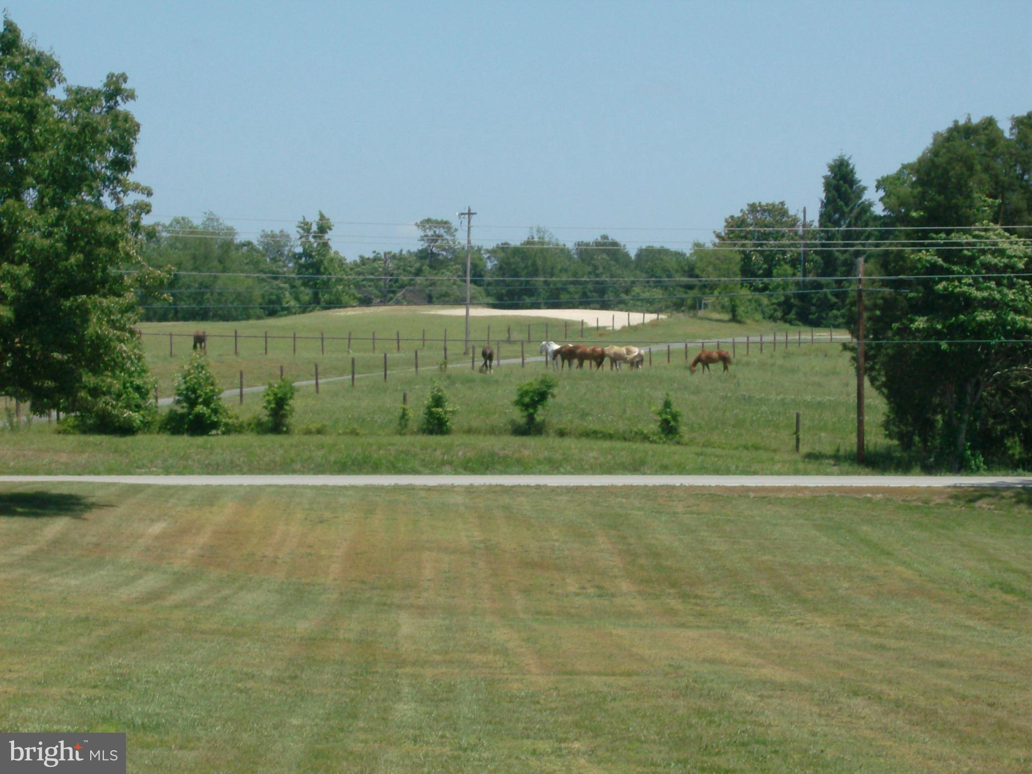 9425 Mackall Road St. Leonard, MD 20685 - Photo 4 of 26 View from the porch