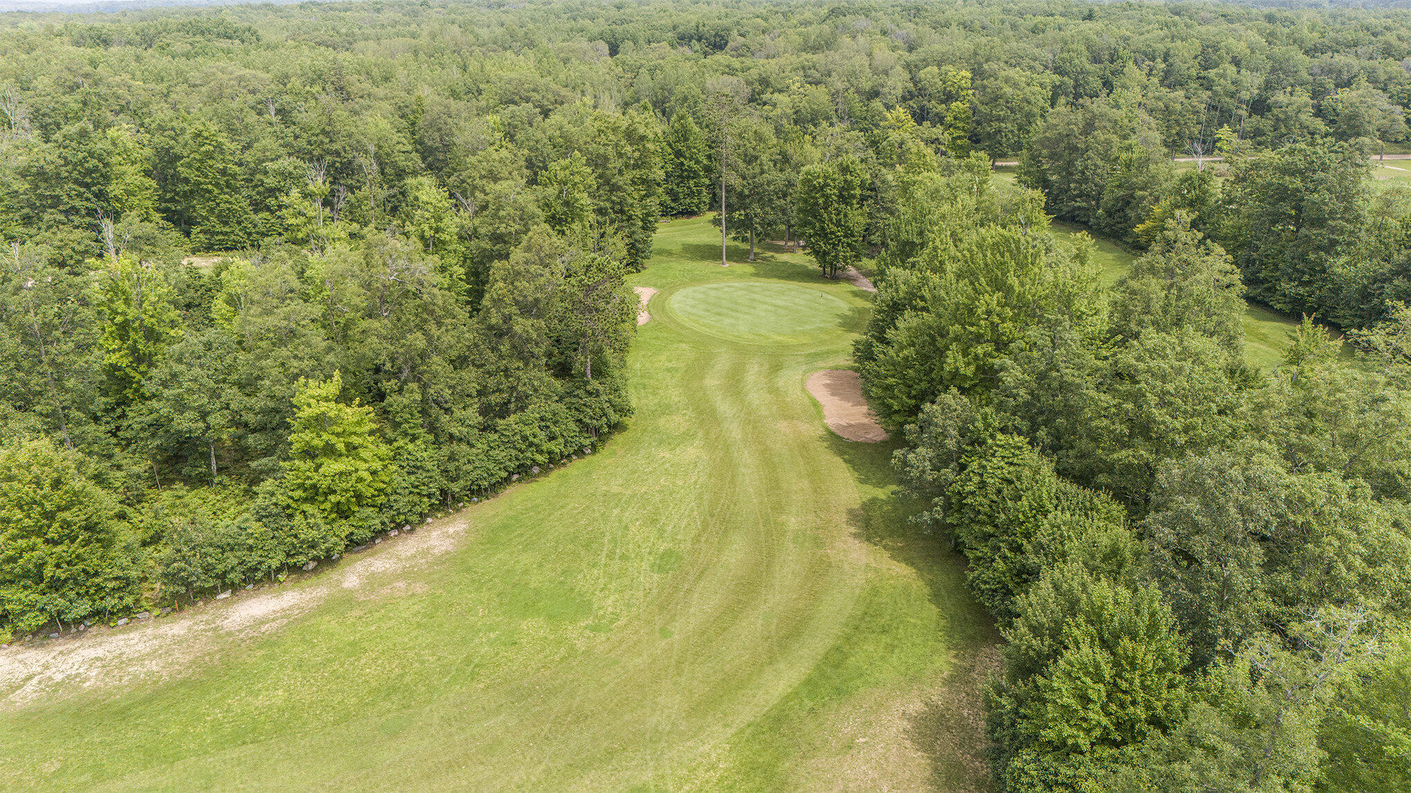 17 East 17 Mile Road Reed City, MI 49677 - Photo 38 of 65 008_dji_20240802123318_0091_d