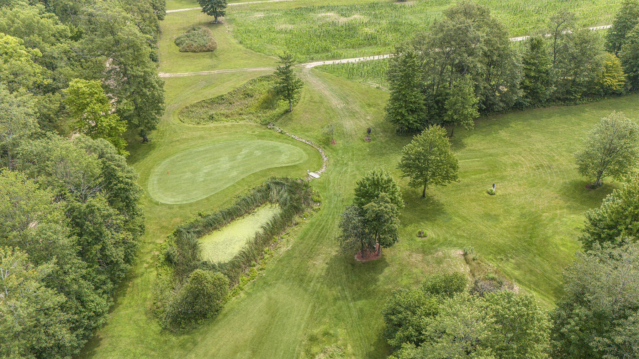 17 East 17 Mile Road Reed City, MI 49677 - Photo 41 of 65 011_dji_20240802123500_0096_d