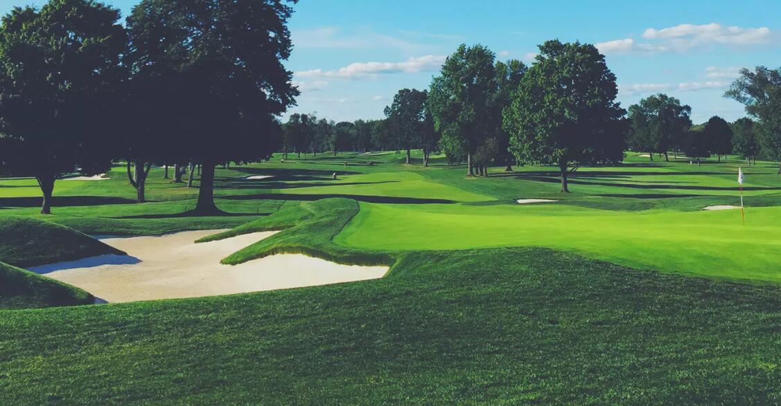 17 East 17 Mile Road Reed City, MI 49677 - Photo 61 of 65 golf course 6