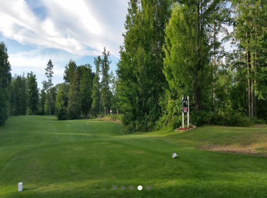 17 East 17 Mile Road Reed City, MI 49677 - Photo 63 of 65 golf course 4