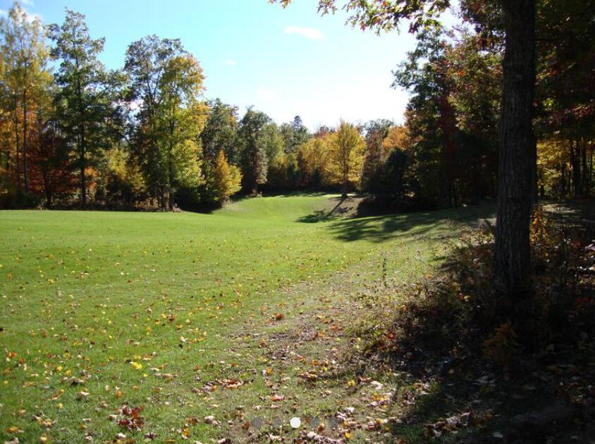 17 East 17 Mile Road Reed City, MI 49677 - Photo 64 of 65 golf course 2