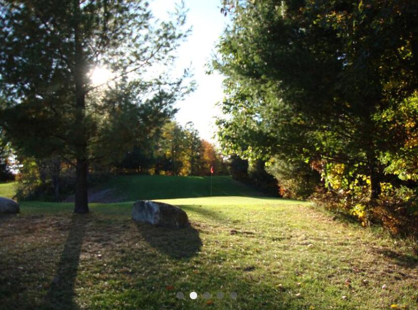 17 East 17 Mile Road Reed City, MI 49677 - Photo 65 of 65 golf course1