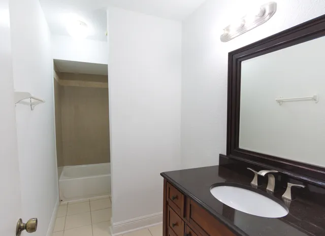 a bathroom with a sink and a mirror