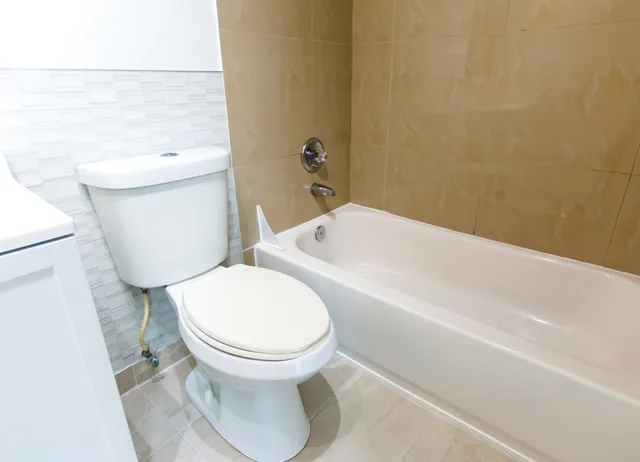 a bathroom with a toilet and a bathtub