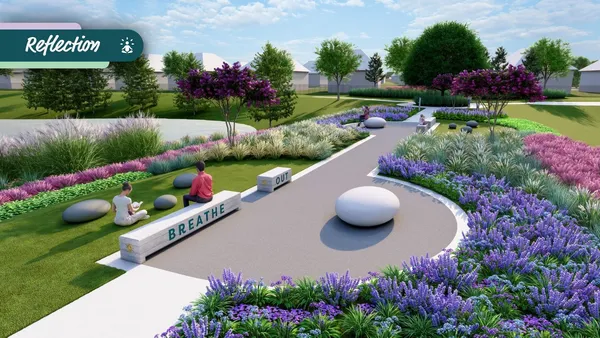 a view of a swimming pool with a garden