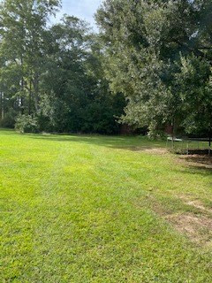 20 Saresden Cove Sumter, SC 29150 - Photo 2 of 4