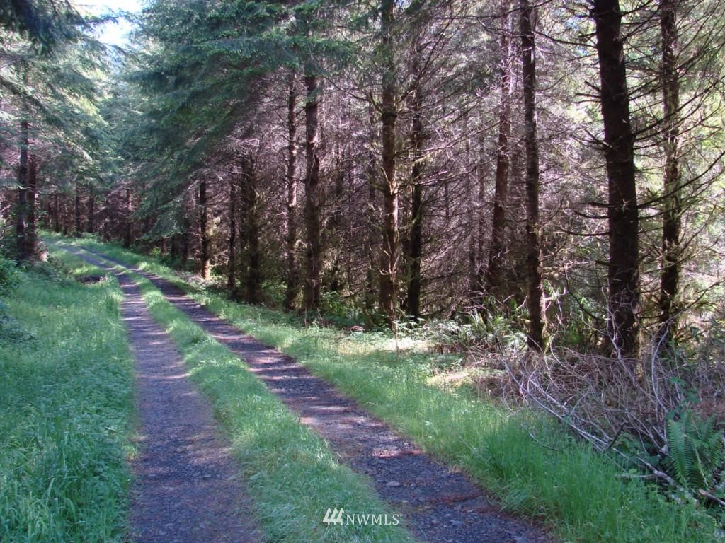 0 Artic Road Cosmopolis, WA 98537 - Photo 1 of 1 Gallery Image 1