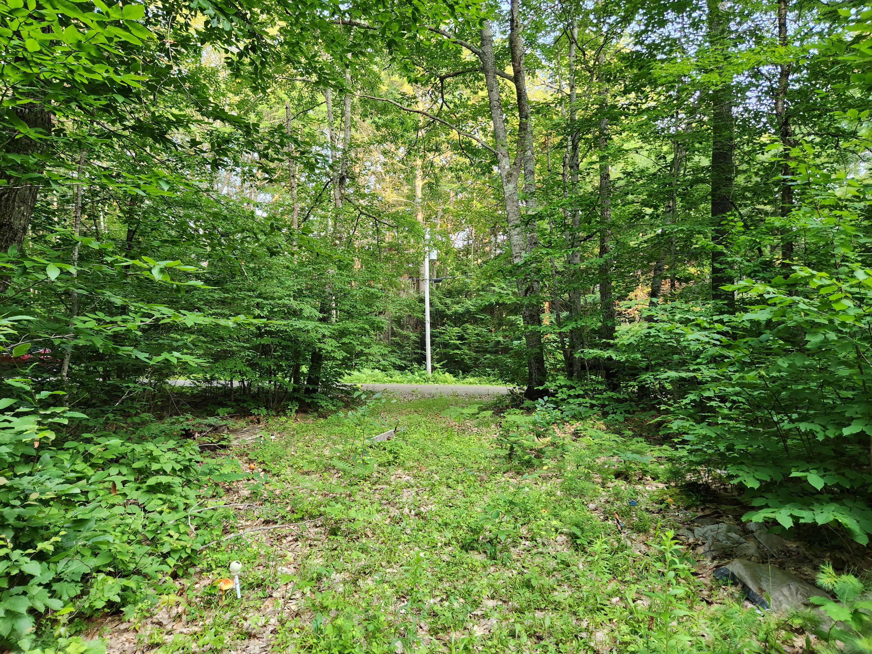 Map 35-lot Map 35-lot Gates Road Jefferson, ME 04348 - Photo 14 of 23 20230713_191834