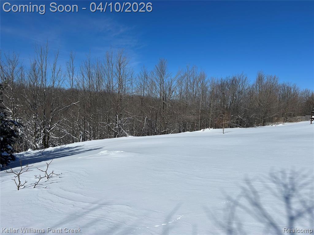 3055 Black Road Charlevoix, MI 49720 - Photo 3 of 19