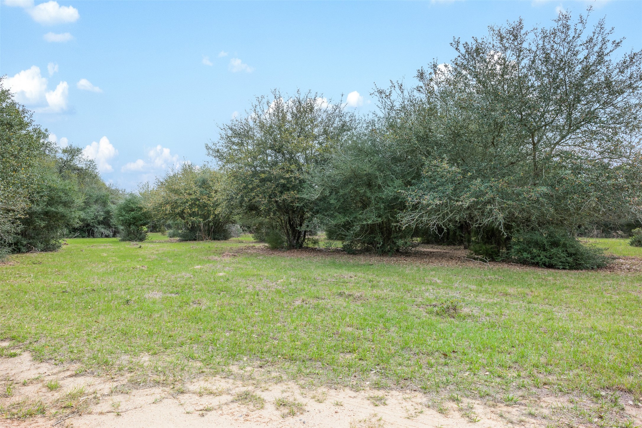 1017 New Ulm Road Cat Spring, TX 78933 - Photo 17 of 25