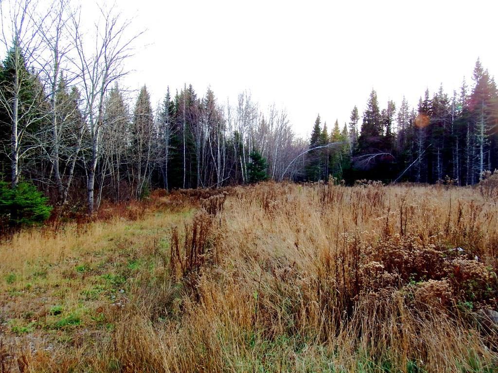 444 Lycette Road Amity, ME 04471 - Photo 30 of 34 Photo