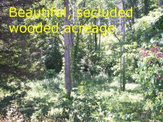 293 Mullins Hollow Road McKee, KY 40447 - Photo 26 of 37 Photo 26