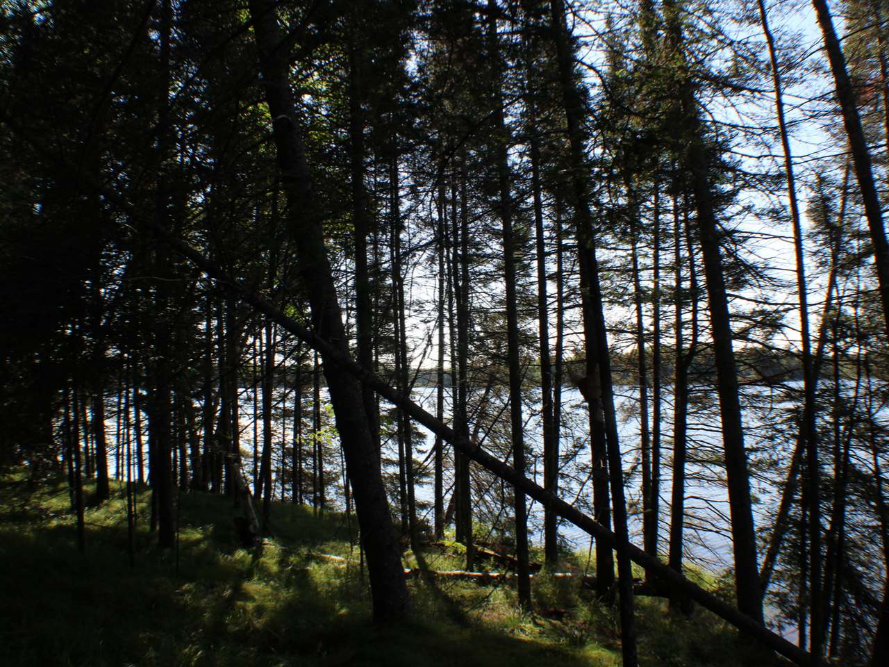 9513 Ruffed Grouse Road Presque Isle, WI 54557 - Photo 29 of 32 Gallery Image 29
