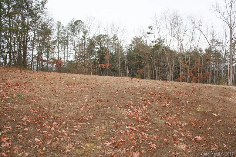 1597 Cove Road Rutherfordton, NC 28139 - Photo 11 of 19