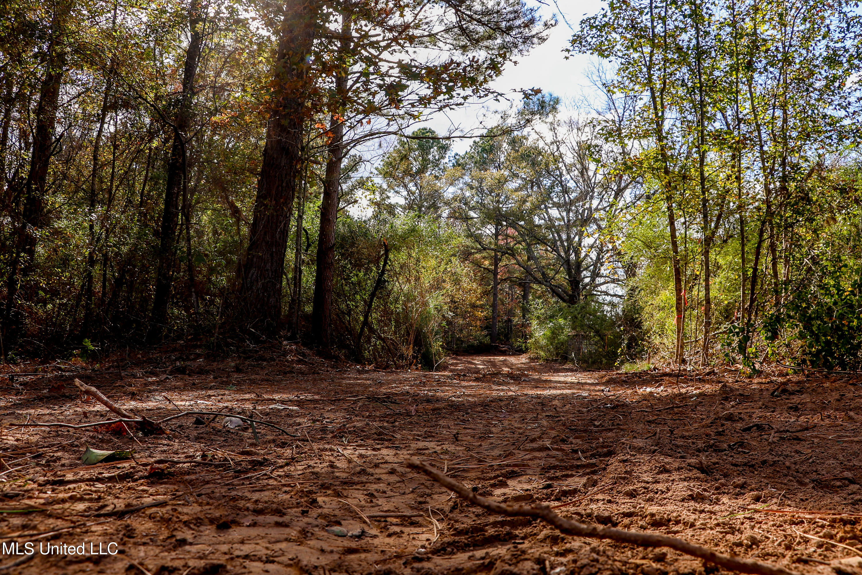 Les Harwell Road Collinsville, MS 39325 - Photo 11 of 17 4V7A5659