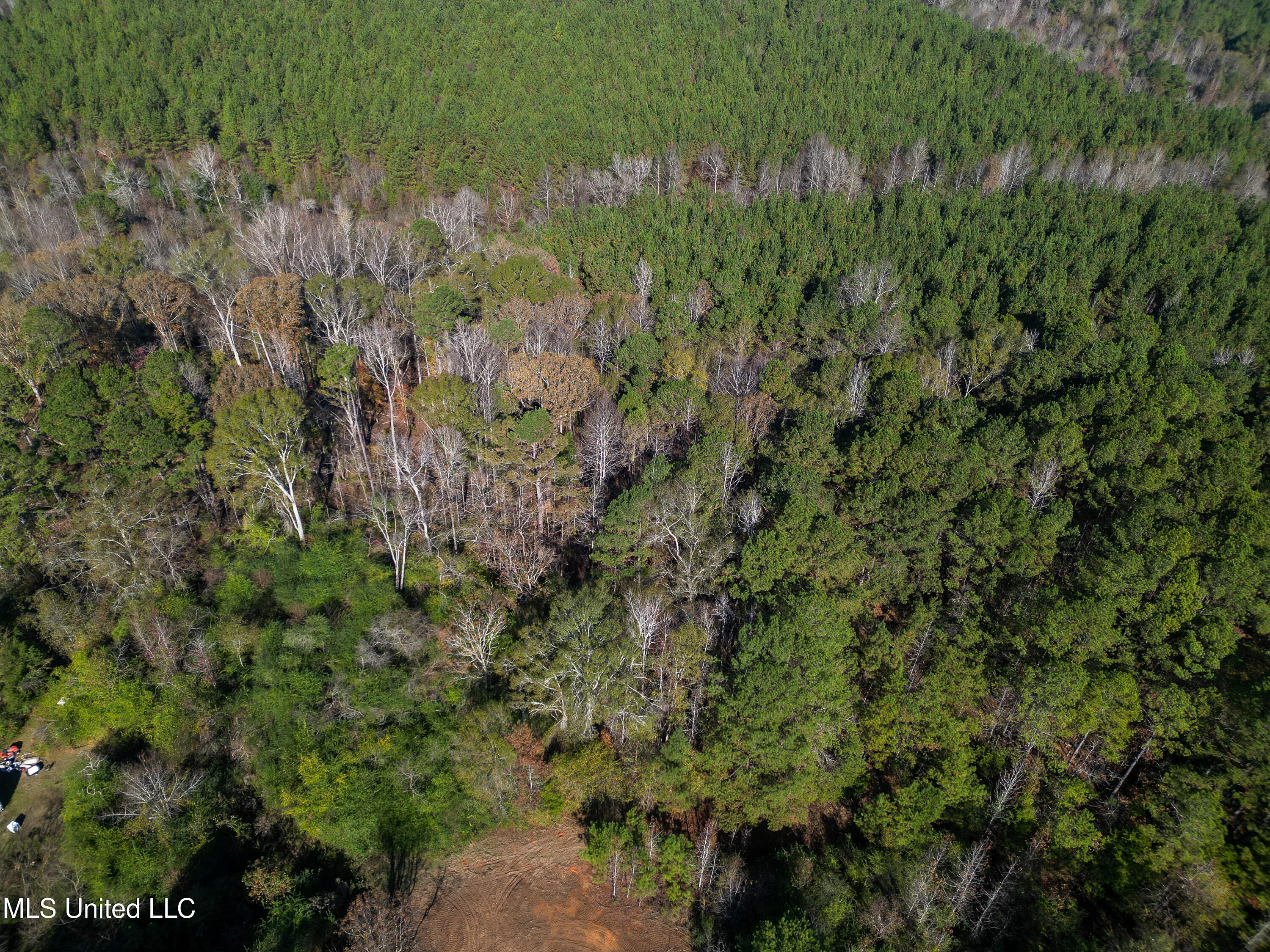Les Harwell Road Collinsville, MS 39325 - Photo 12 of 17 DJI_0486