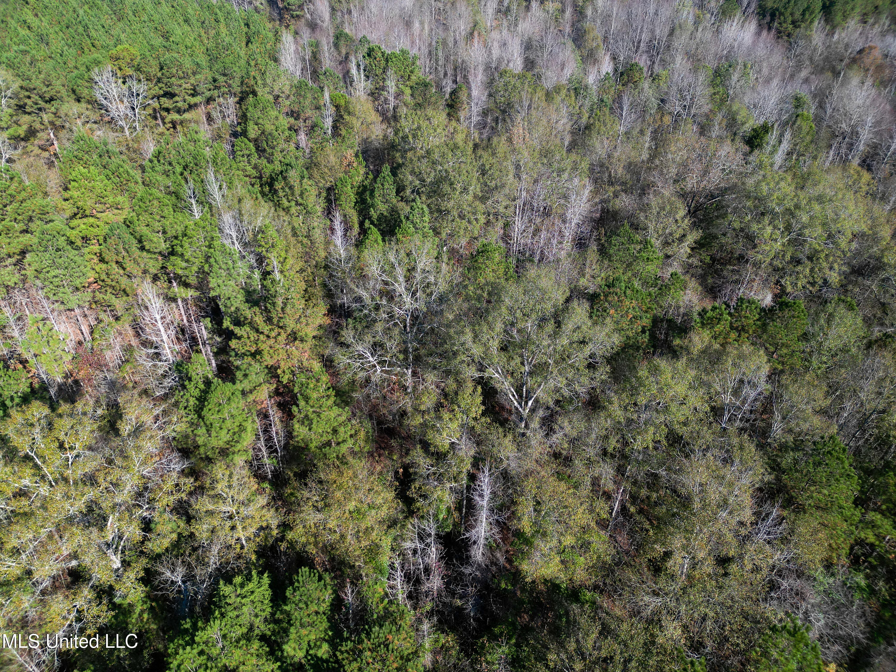 Les Harwell Road Collinsville, MS 39325 - Photo 13 of 17 DJI_0487