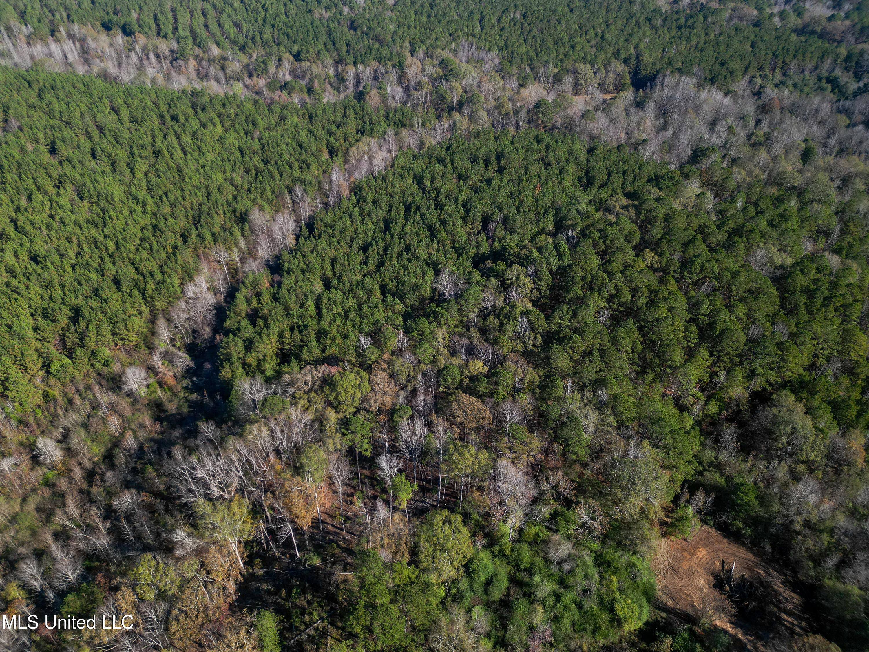Les Harwell Road Collinsville, MS 39325 - Photo 14 of 17 DJI_0497