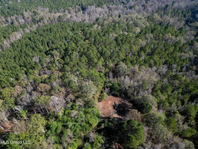 $135,000 | Les Harwell Road, Collinsville, MS 39325